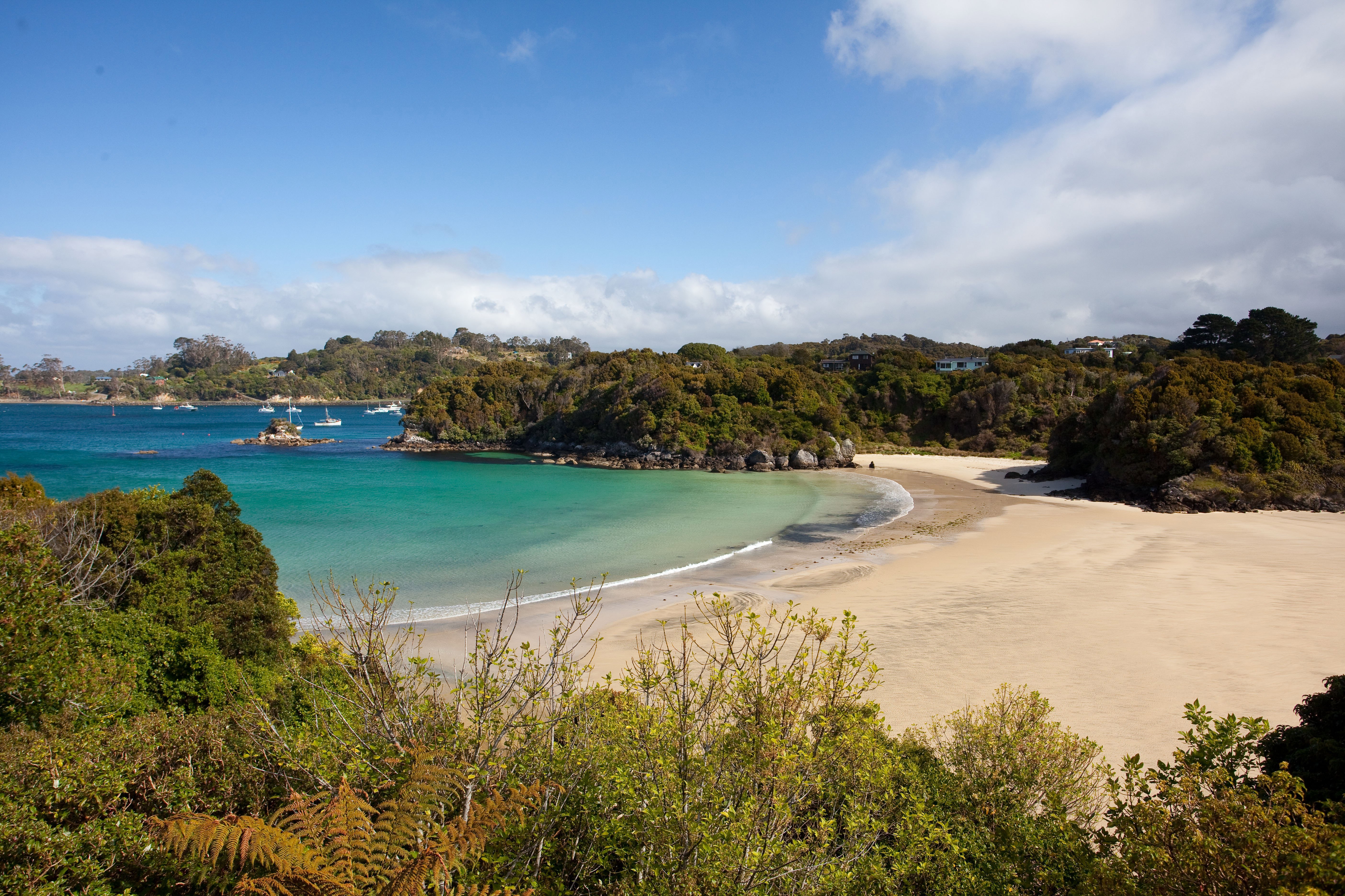 Stewart Island New Zealand's little known island RealNZ