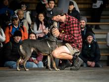 A realnz team member pats his sheepdog in front of crowd