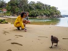 Girls kneels down to look at wild Kiwi bird on the beach at Ulva Island