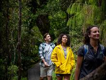 A group is guided through the forest on a walk through Ulva Island