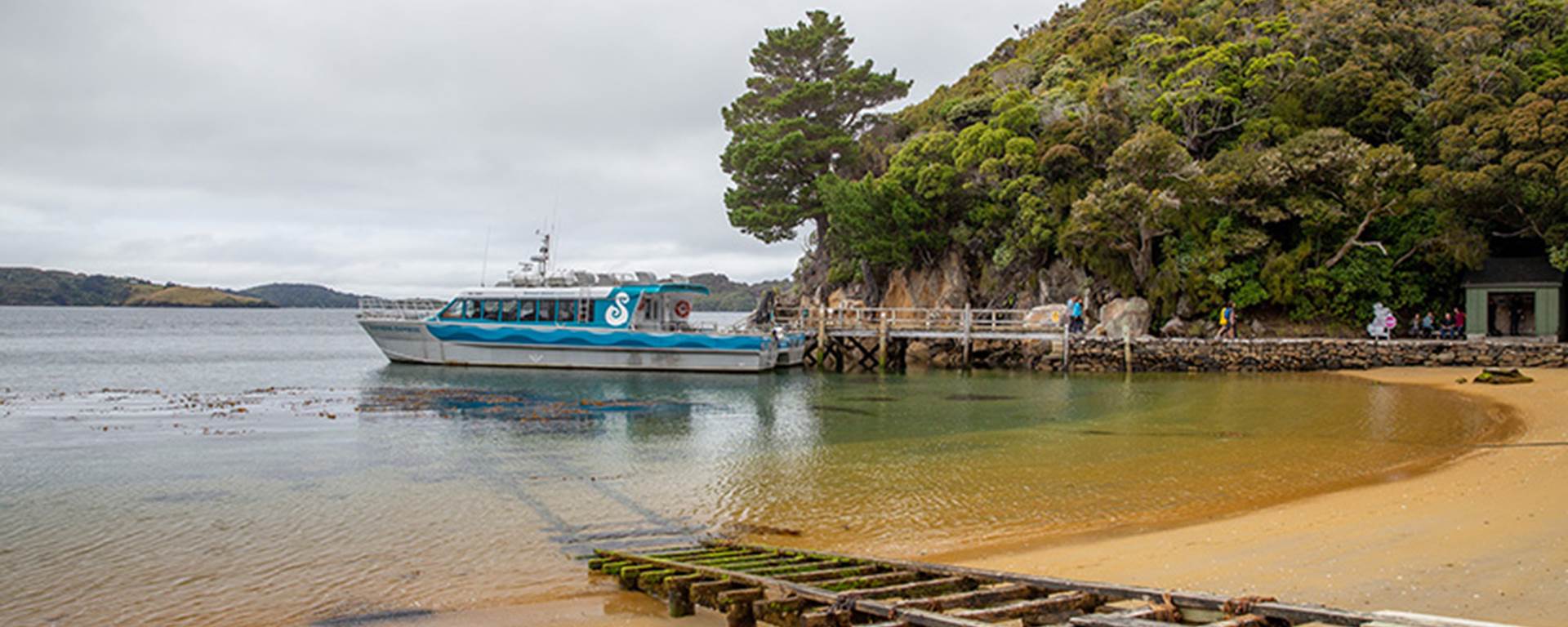 View of the Stewart Island Ferry docked at the beach on Ulva Island