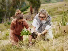 Two friends plant a native seedling plant in the ground surrounded by rocky mountains.