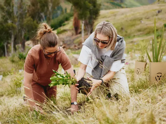 Two friends plant a native seedling plant in the ground surrounded by rocky mountains.