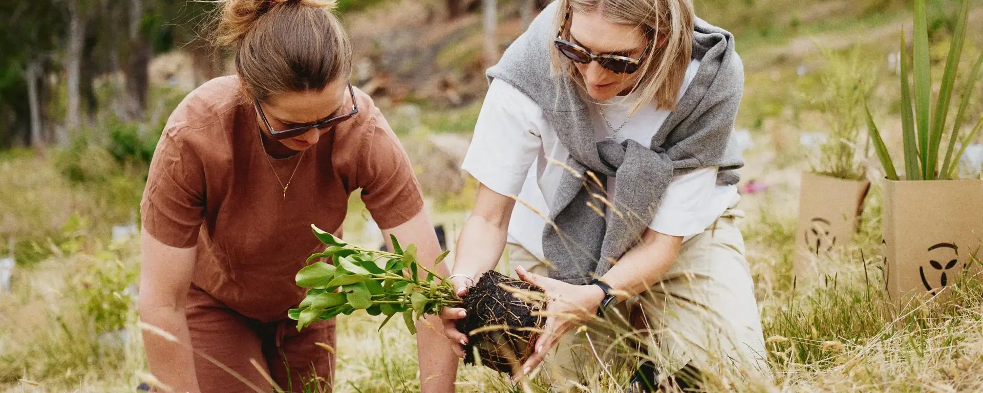 Two friends plant a native seedling plant in the ground surrounded by rocky mountains.