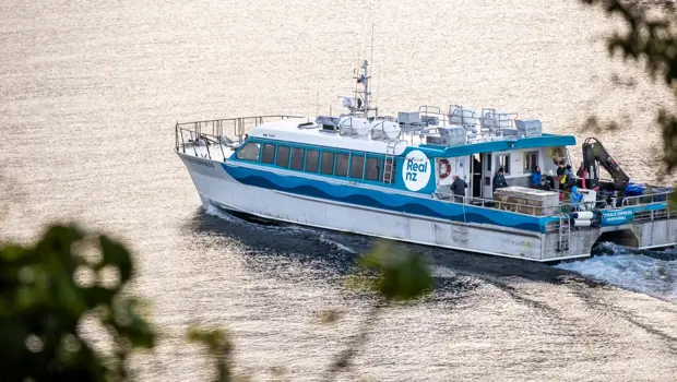 A modern blue catamaran, branded with the RealNZ logo, cruises out of a bay on calm waters. 