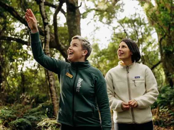 A RealNZ nature guide points out something to a guest in the trees of Ulva Island, on a guided walk through the forrest. 