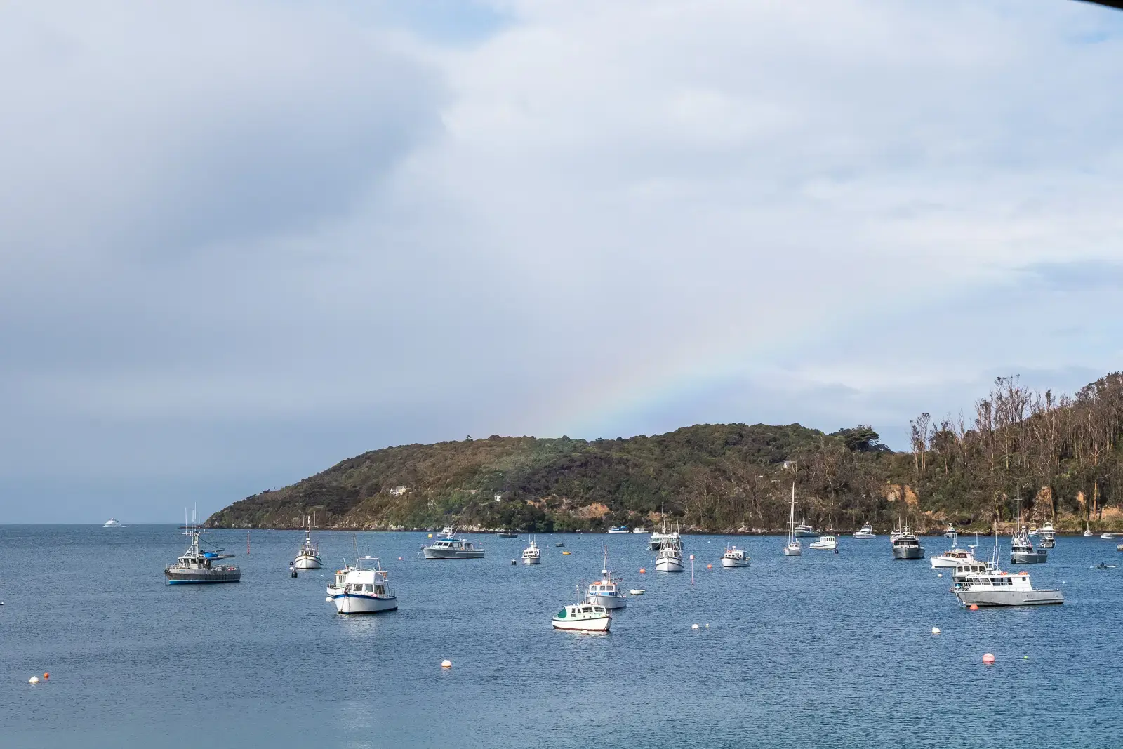 Boats anchored in a sheltered bay near Stewart Island.
