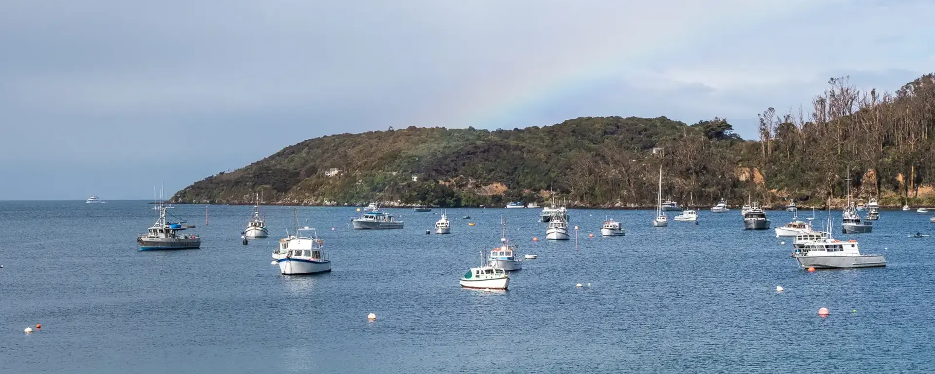 Boats anchored in a sheltered bay near Stewart Island.