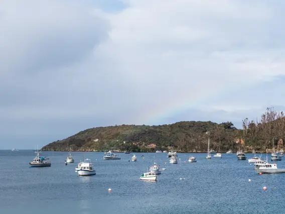Boats anchored in a sheltered bay near Stewart Island.