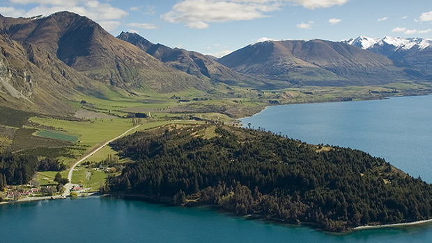 Walter Peak Land Restoration Project