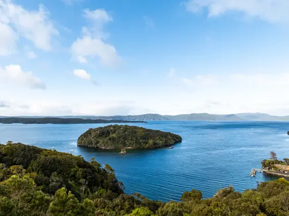 Lookout view of a lush green forrest island in the middle of clear blue ocean water.