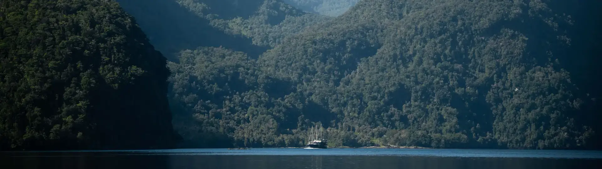 A scenic view of Milford Sound, featuring a calm body of water surrounded by towering forested mountains, with a snow-capped peak visible in the distance. A small cruise vessel, The Mariner, is seen in the fjord, adding a sense of scale to the dramatic landscape.