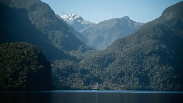 A scenic view of Milford Sound, featuring a calm body of water surrounded by towering forested mountains, with a snow-capped peak visible in the distance. A small cruise vessel, The Mariner, is seen in the fjord, adding a sense of scale to the dramatic landscape.