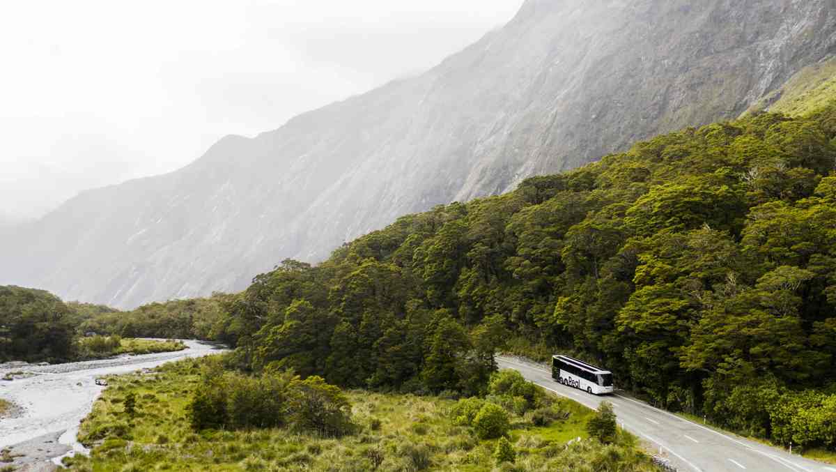 realnz-milford-sound-coach.
