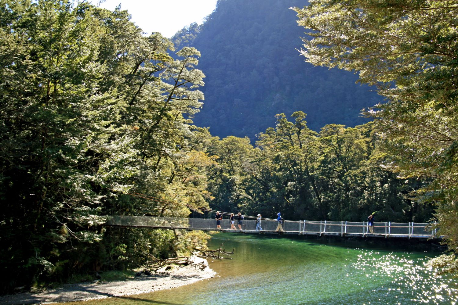 Walkers on a suspension bridge on the Milford Track Walk