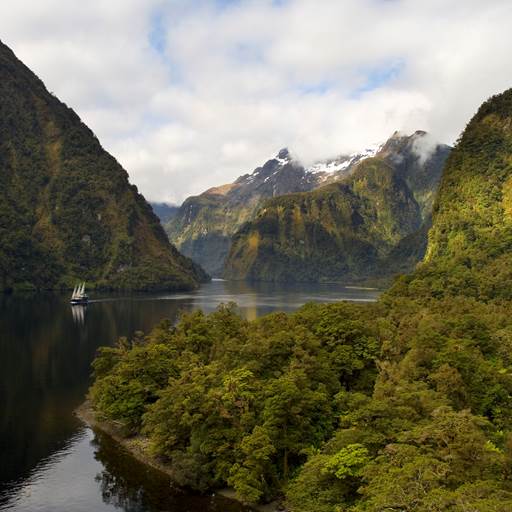 Boat sails through green mountains of Doubtful Sound