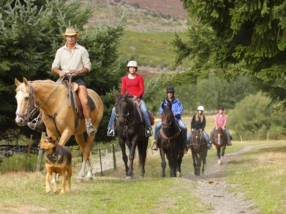 Group on horseback trekking through Walter Peak High Country Farm