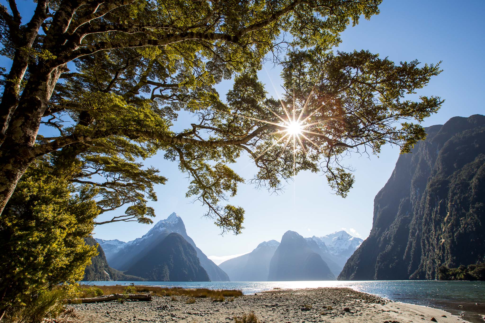 View from the foreshore at Milford Sound