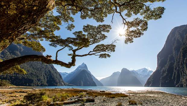 View from the foreshore at Milford Sound