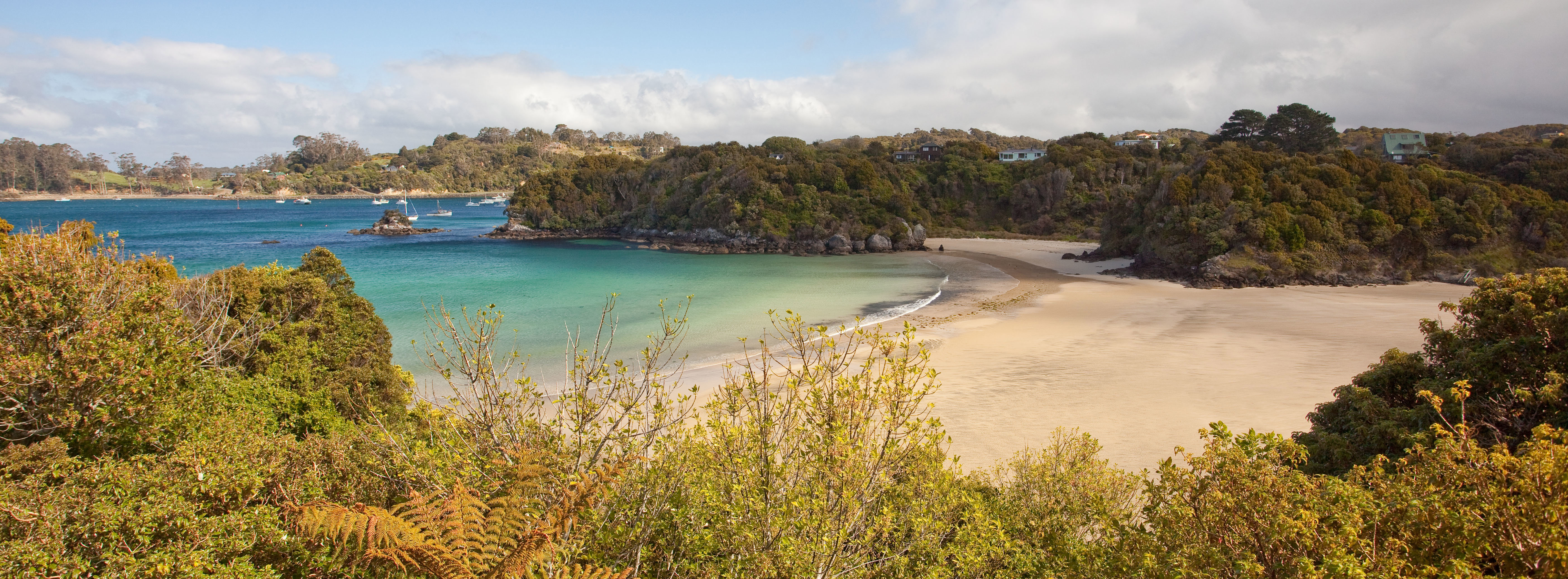 Stewart Island Village & Bays Tour RealNZ