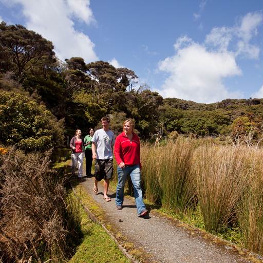Group on a guided walk on Stewart Island