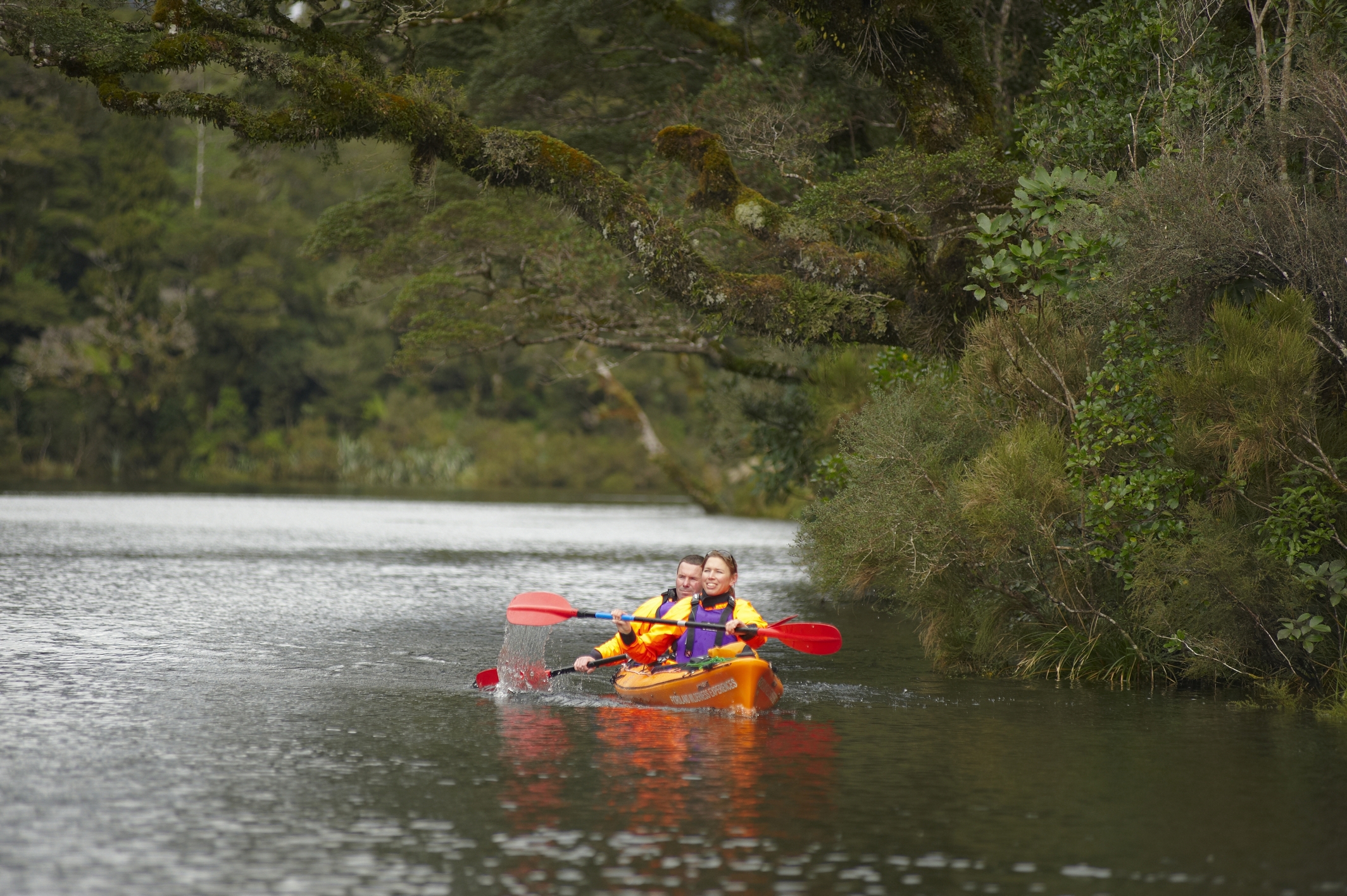 Kayak Milford Sound Milford Sound 