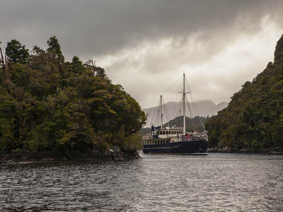 Milford Wanderer cruises through remote Fiordland