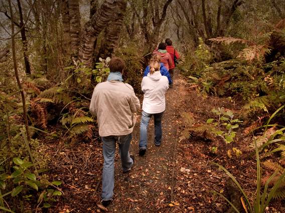 Group walking through bush in Stewart Island