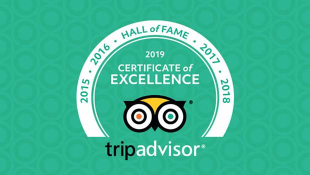 TripAdvisor Certificate of Excellence 2019 & Hall of Fame logo