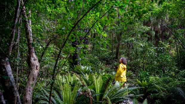 Woman in lush forest on Ulva Island, Stewart Island