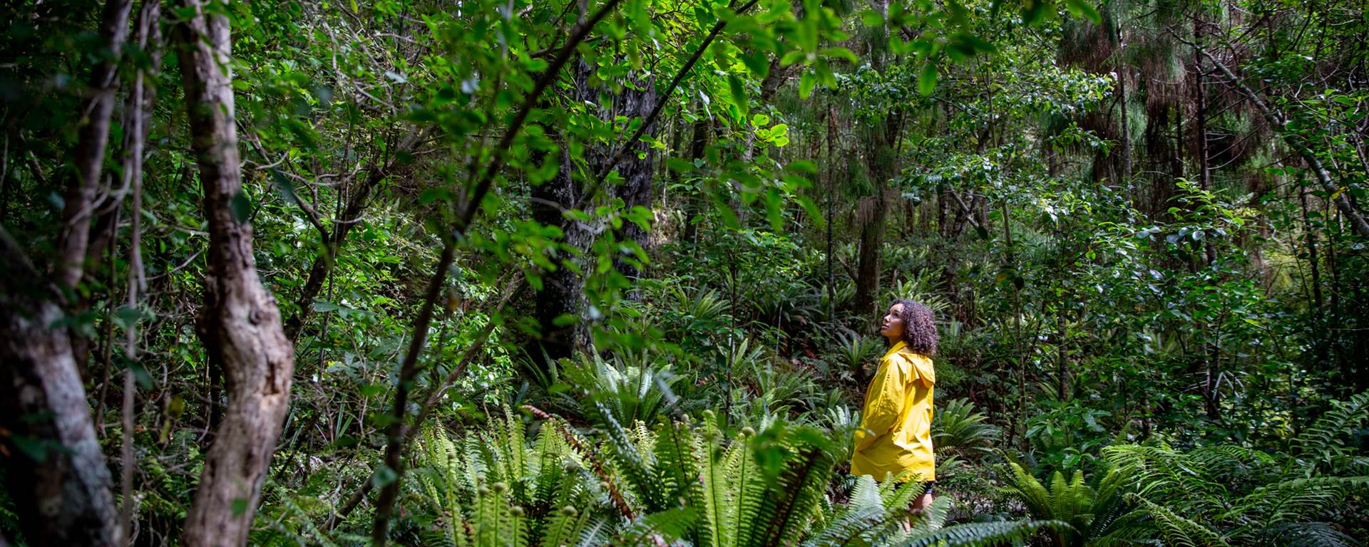 Woman in lush forest on Ulva Island, Stewart Island