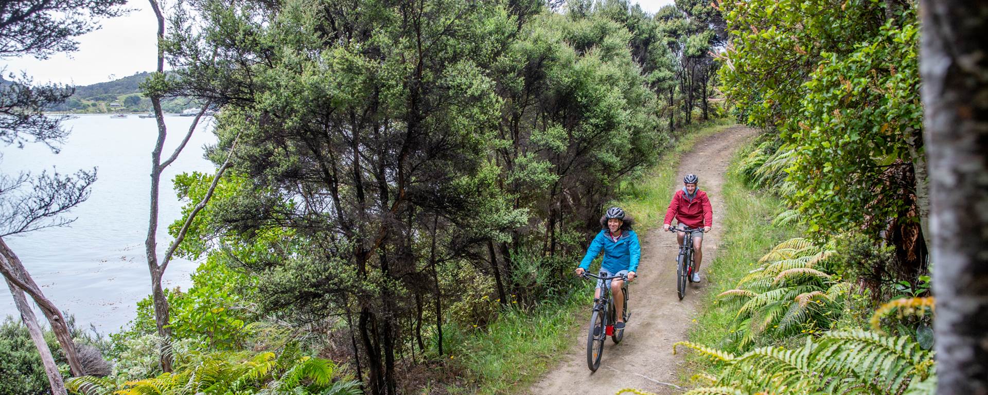 Two cyclists on track on Stewart Island