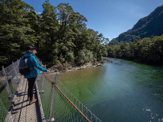 People walk across swing bridge over blue river on the Milford Track guided walk