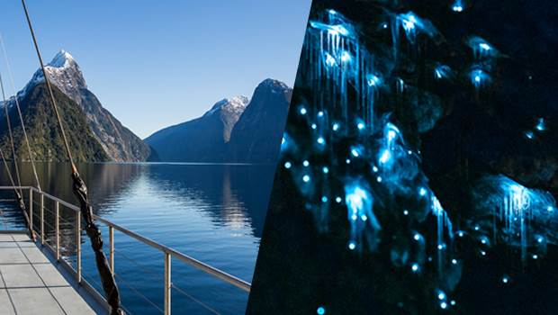 Milford Sound and the Te Anau Glowworm Caves