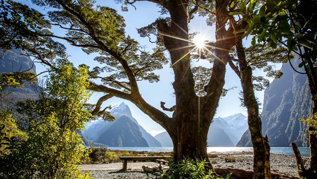 A sunny day in Milford Sound