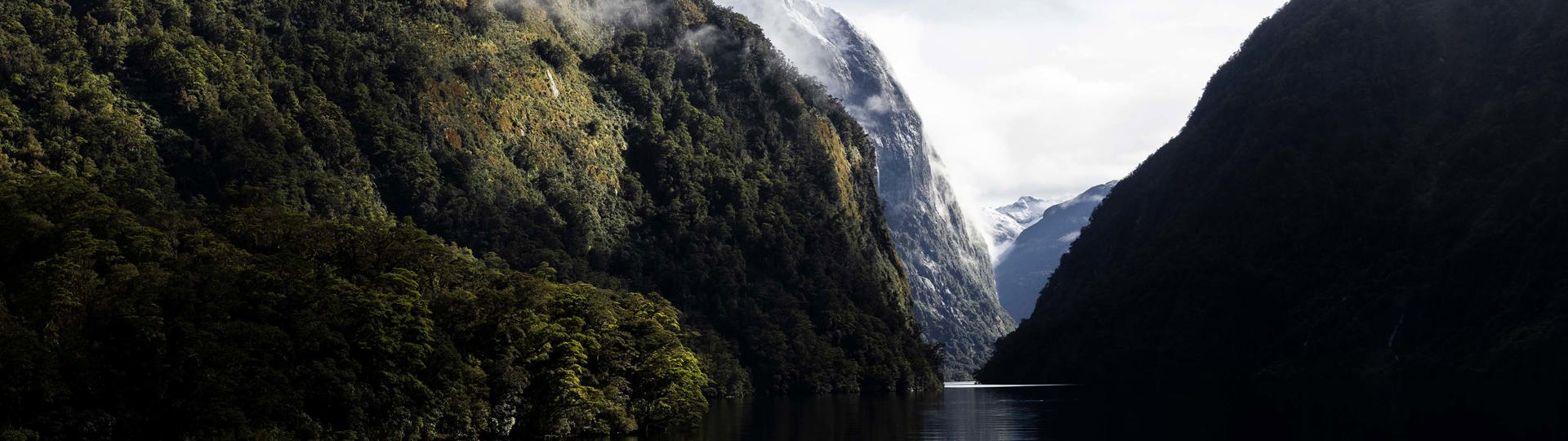 Mirror reflections of Doubtful Sound in the water