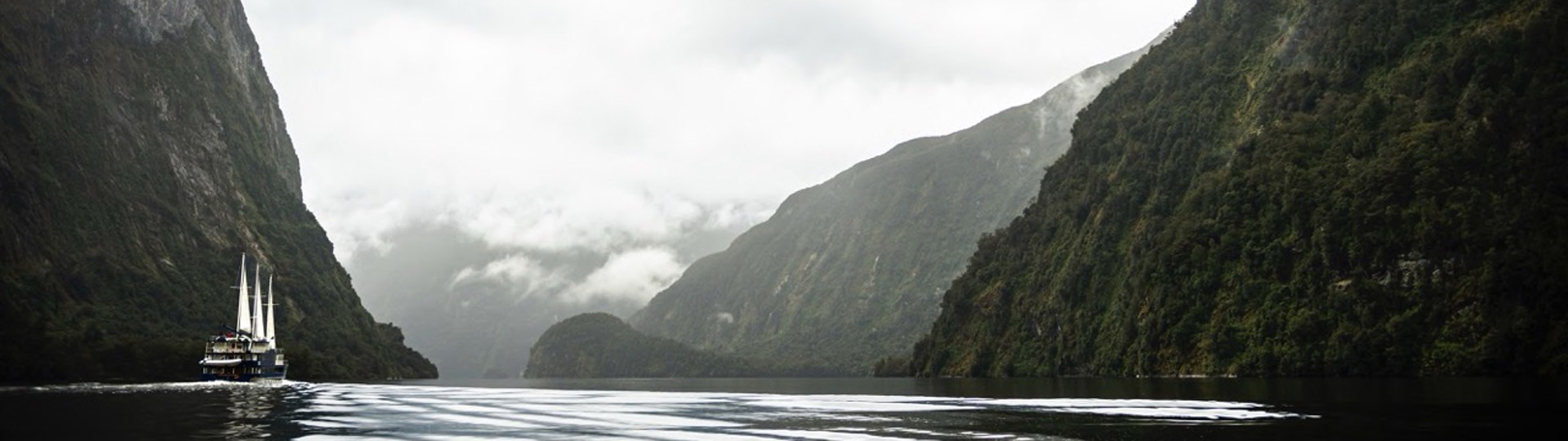 A cruise boat sailing into Doubtful Sound