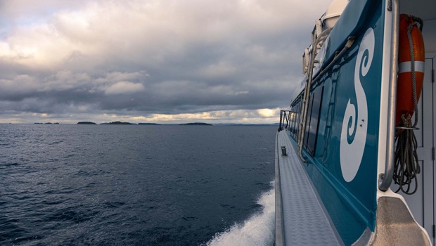Hanging out the side of the ferry, a view towards Stewart Island