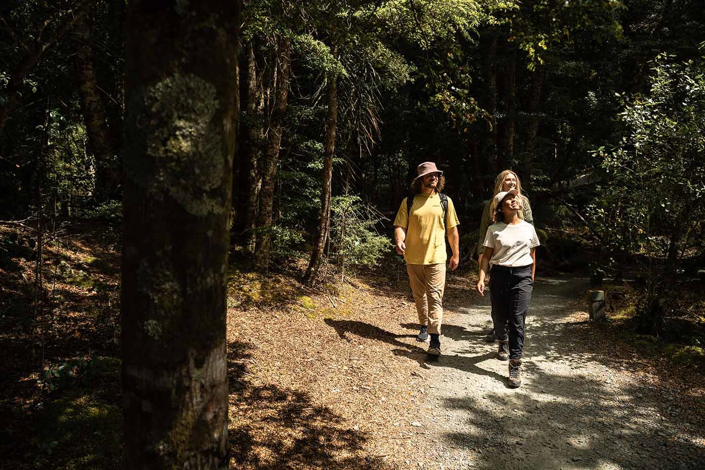 Three friends look up at the wildlife in while walking through a forest 