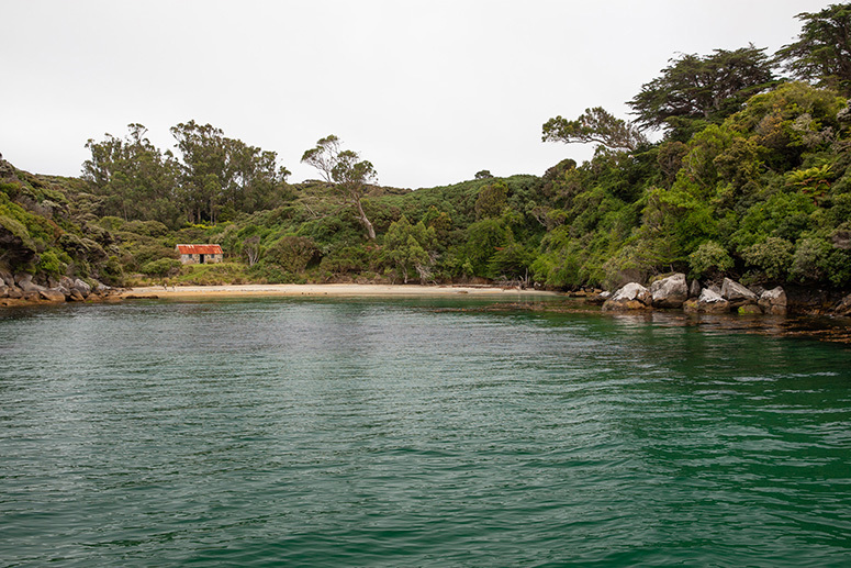 View of the bay from the water at Ulva Island