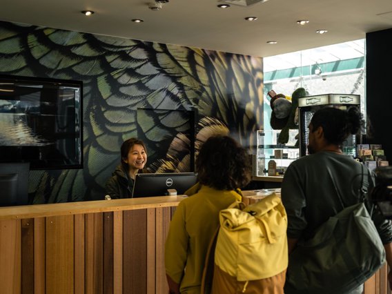couple approaching desk of contact centre