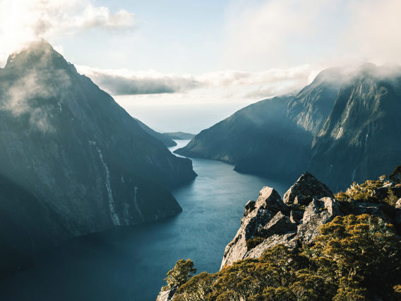https://www.realnz.com/media/701461/milford-sound-fiord-aerial.jpg?height=426&v=1dc1c2156cdd220&width=568