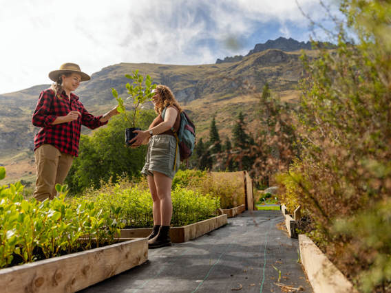 Guests at Walter Peak’s Garden to Table Experience select native trees to plant, surrounded by lush gardens and breathtaking mountain scenery.