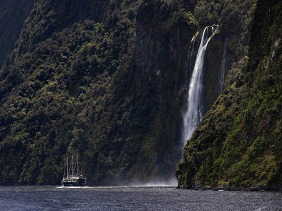 Get up close to the natural wonders of Milford Sound, as the Mariner takes you beneath cascading waterfalls and through dramatic fiord landscapes.