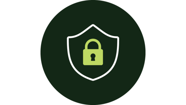 Icon of a locked padlock