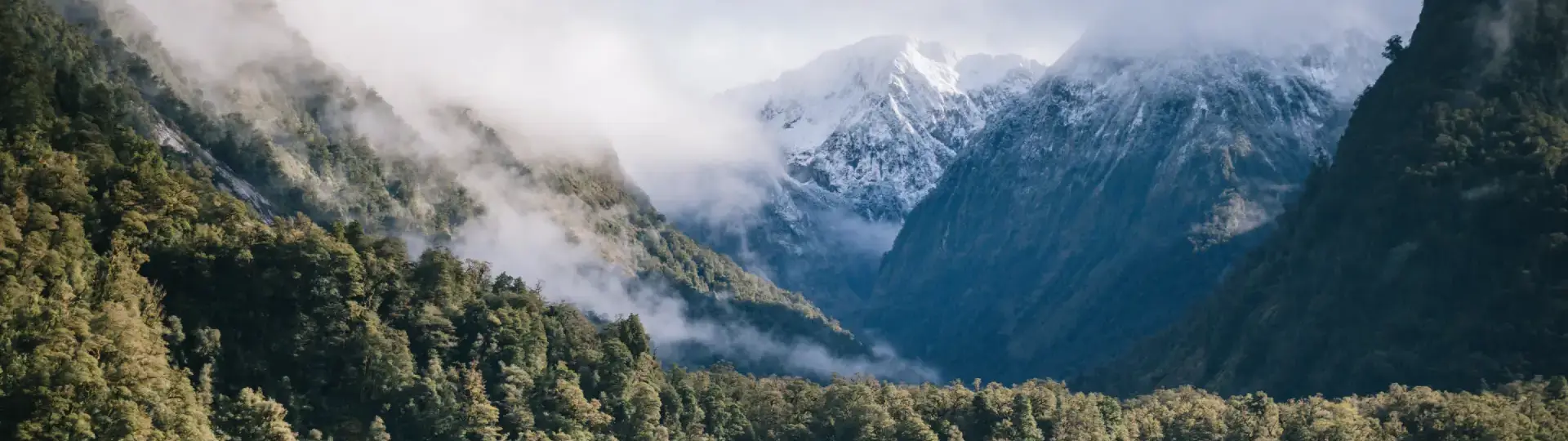 Misty forested cliffs and snow-capped peaks reflected in the calm waters of Doubtful Sound, New Zealand, on a crisp winter day.