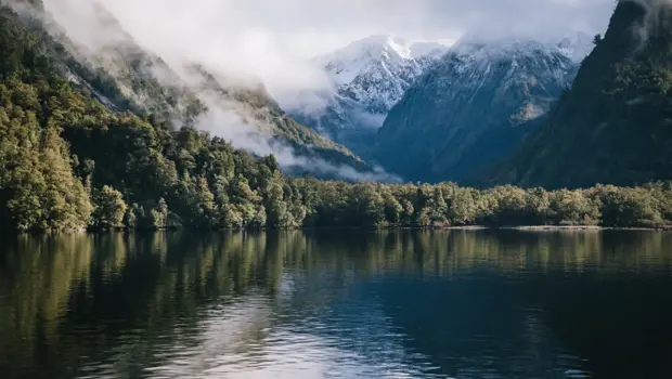 Misty forested cliffs and snow-capped peaks reflected in the calm waters of Doubtful Sound, New Zealand, on a crisp winter day.