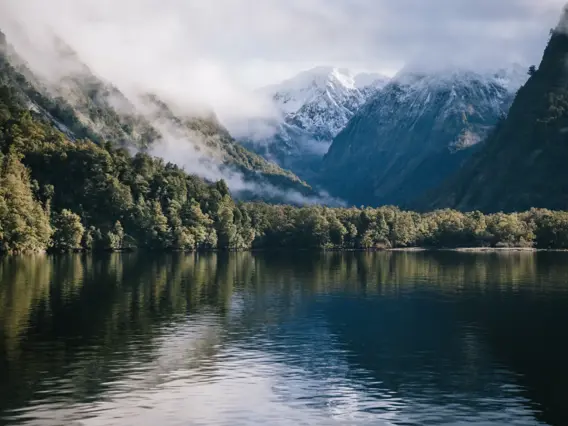 Misty forested cliffs and snow-capped peaks reflected in the calm waters of Doubtful Sound, New Zealand, on a crisp winter day.