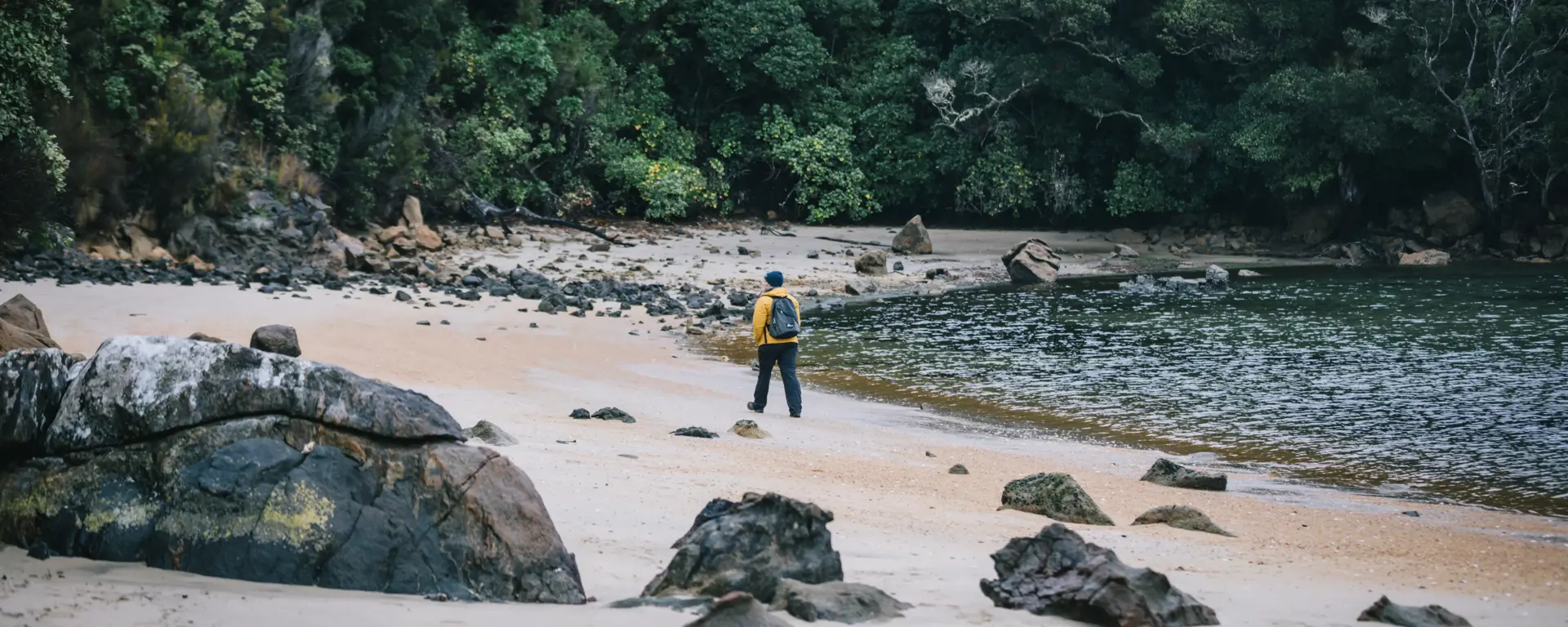 Guests walking along a secluded beach surrounded by native forest.