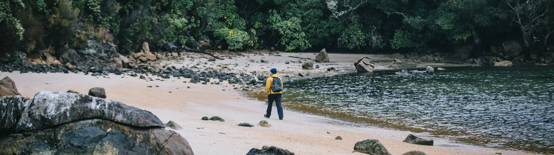 Guests walking along a secluded beach surrounded by native forest.